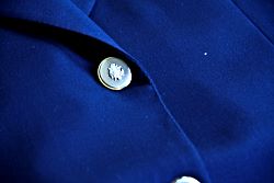 5BelvestPattern.jpg